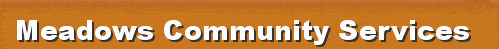 Meadows Community Services Inc